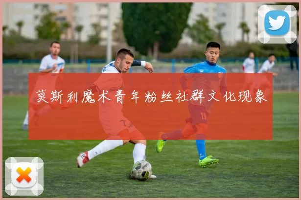 莫斯利魔术青年粉丝社群文化现象